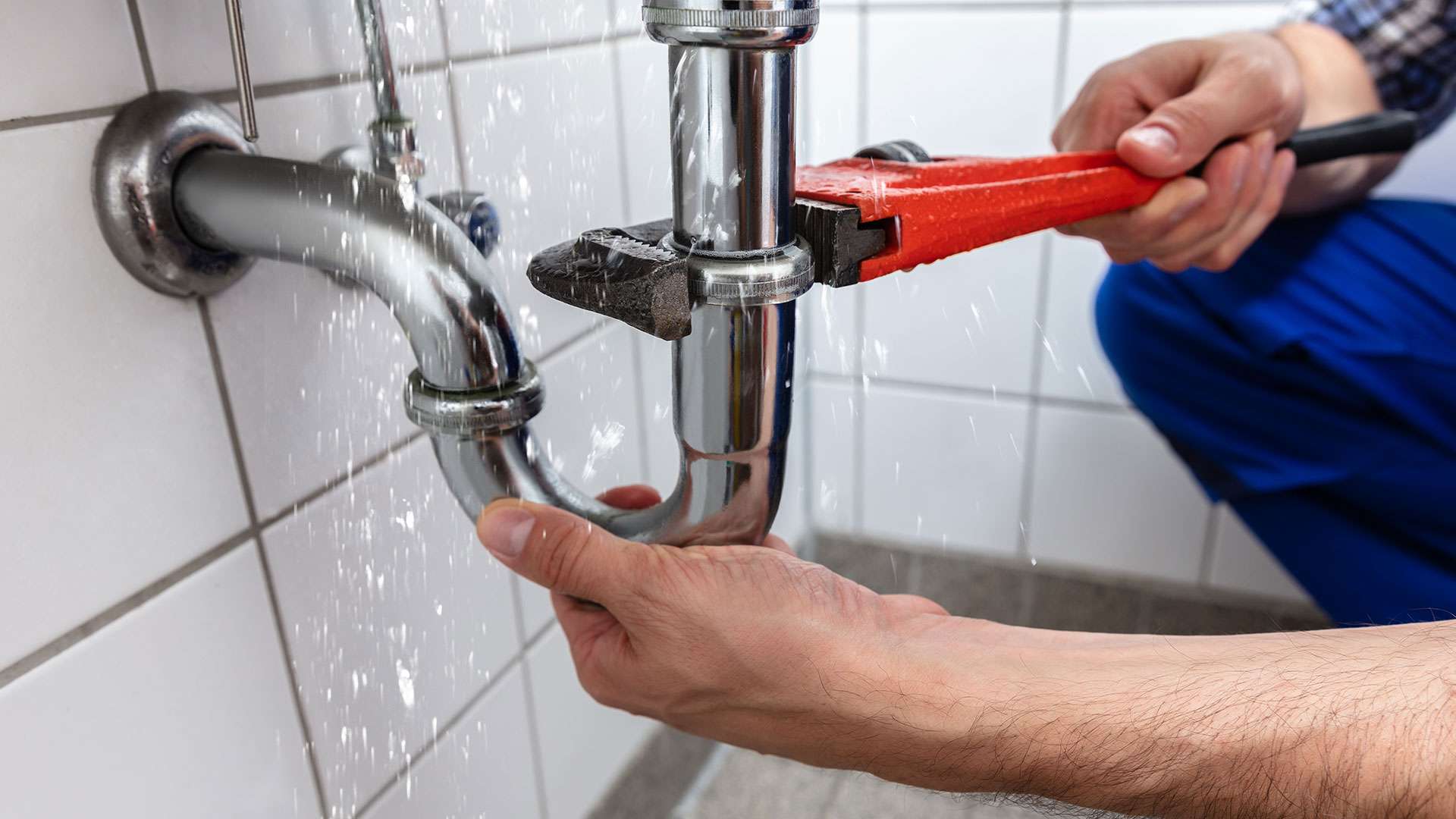 Plumbing Tips | Pro-Check Home Inspections
