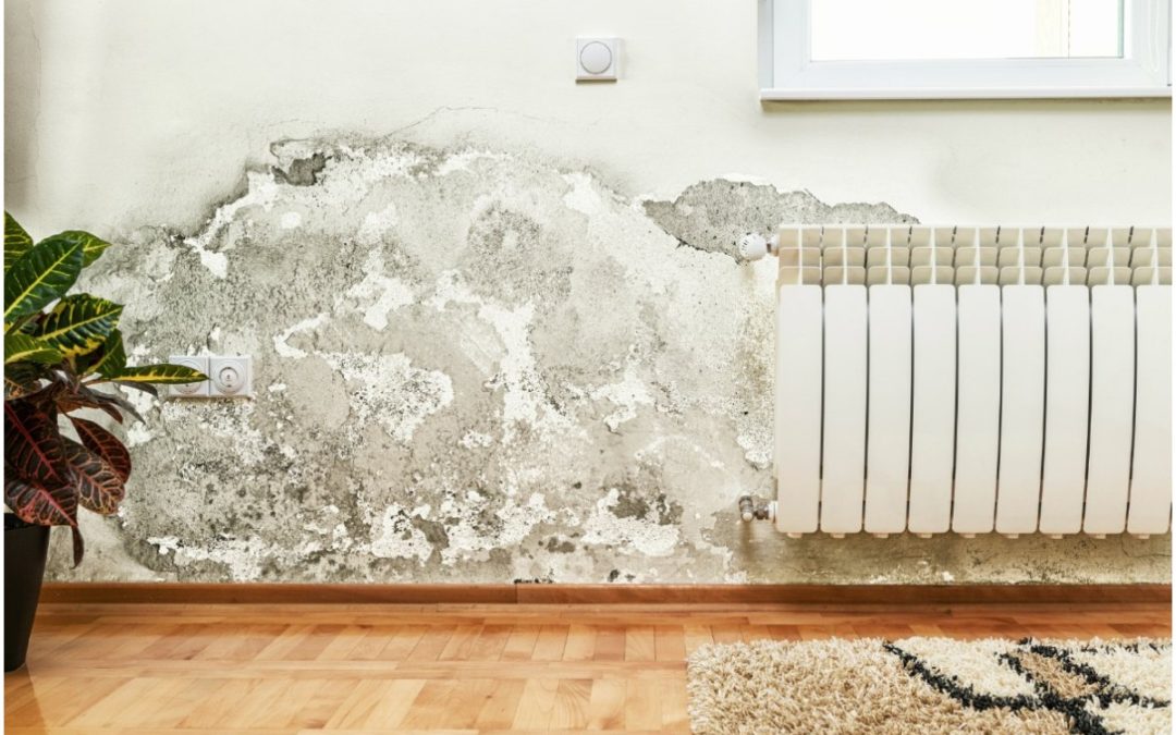 4 Health Hazards in Your Home and How to Protect Yourself